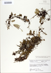 TTRS_000010015-thumbnail.jpg