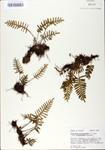TTRS_000010016-thumbnail.jpg