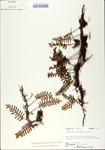 TTRS_000010018-thumbnail.jpg