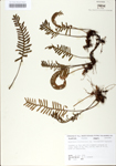 TTRS_000010021-thumbnail.jpg