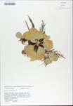 TTRS_000010175-thumbnail.jpg