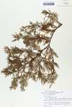 TTRS_000010214-thumbnail.jpg