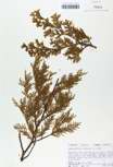 TTRS_000010217-thumbnail.jpg