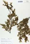 TTRS_000010218-thumbnail.jpg
