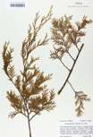 TTRS_000010219-thumbnail.jpg