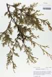 TTRS_000010220-thumbnail.jpg