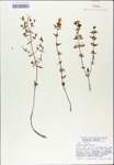 TTRS_000010262-thumbnail.jpg