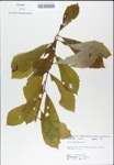 TTRS_000010263-thumbnail.jpg