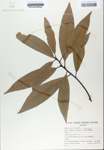 TTRS_000010313-thumbnail.jpg
