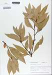 TTRS_000010314-thumbnail.jpg