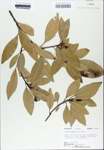 TTRS_000010315-thumbnail.jpg