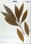 TTRS_000010316-thumbnail.jpg