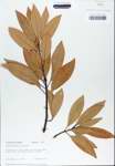 TTRS_000010317-thumbnail.jpg