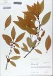 TTRS_000010319-thumbnail.jpg