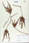 TTRS_000010400-thumbnail.jpg