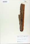 TTRS_000010401-thumbnail.jpg