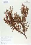 TTRS_000010402-thumbnail.jpg