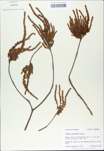 TTRS_000010403-thumbnail.jpg