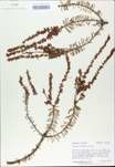 TTRS_000010404-thumbnail.jpg
