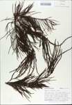 TTRS_000010405-thumbnail.jpg