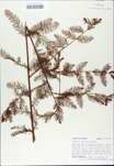 TTRS_000010407-thumbnail.jpg