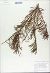 TTRS_000010409-thumbnail.jpg