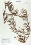 TTRS_000010410-thumbnail.jpg