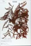 TTRS_000010411-thumbnail.jpg