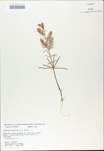 TTRS_000010412-thumbnail.jpg