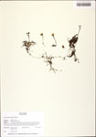 TTRS_000010448-thumbnail.jpg