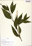 TTRS_000010455-thumbnail.jpg