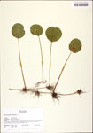 TTRS_000010457-thumbnail.jpg