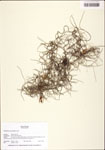 TTRS_000010462-thumbnail.jpg