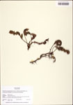TTRS_000010464-thumbnail.jpg