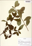 TTRS_000010503-thumbnail.jpg