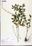 TTRS_000010540-thumbnail.jpg