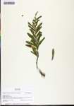 TTRS_000010542-thumbnail.jpg